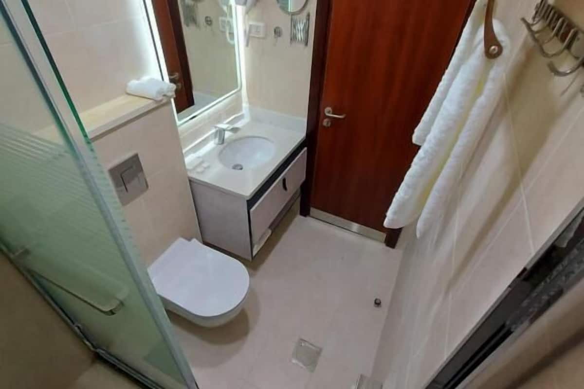 shower, free toiletries, hair dryer, slippers