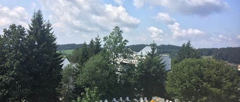 Indoor pool, outdoor pool, pool loungers