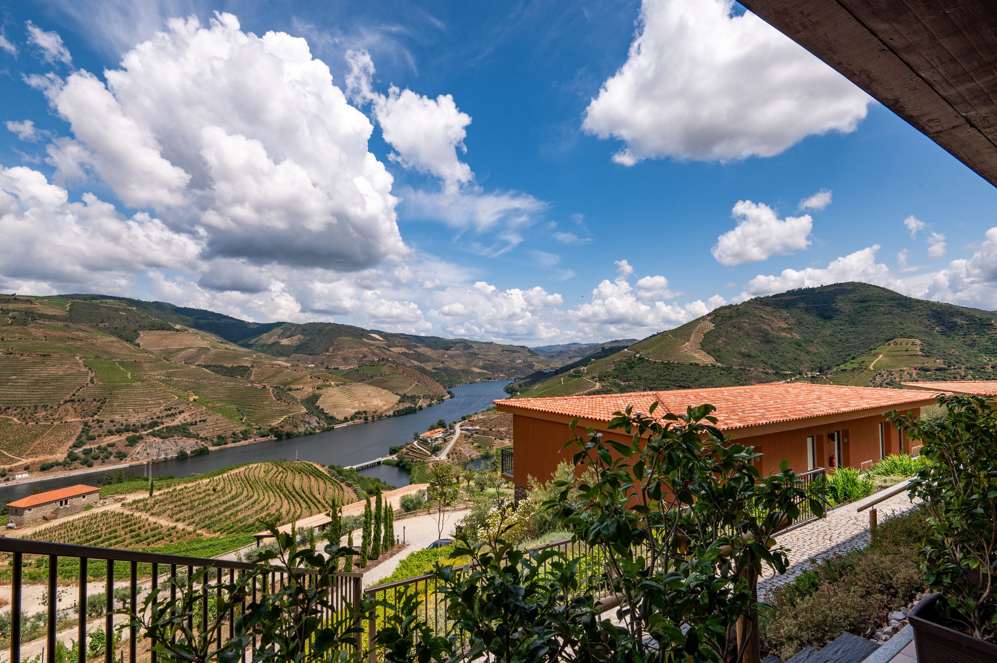 Foto - Vila Gale Douro Vineyards