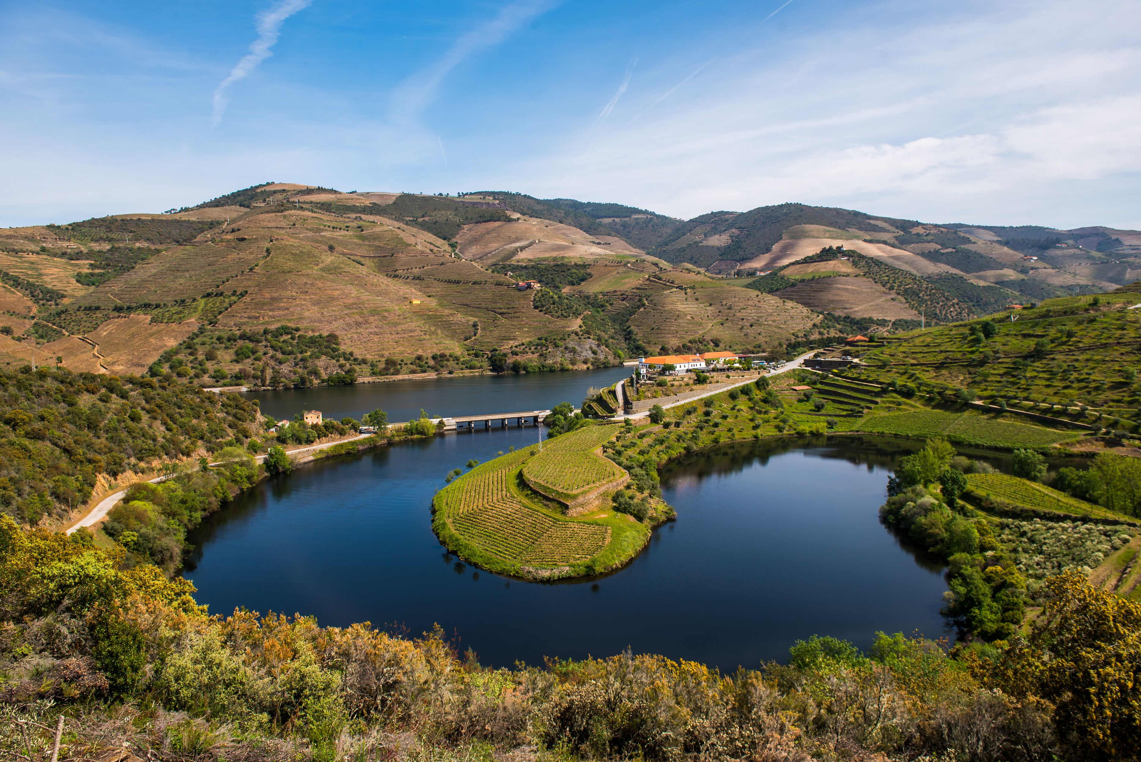 Foto - Vila Gale Douro Vineyards