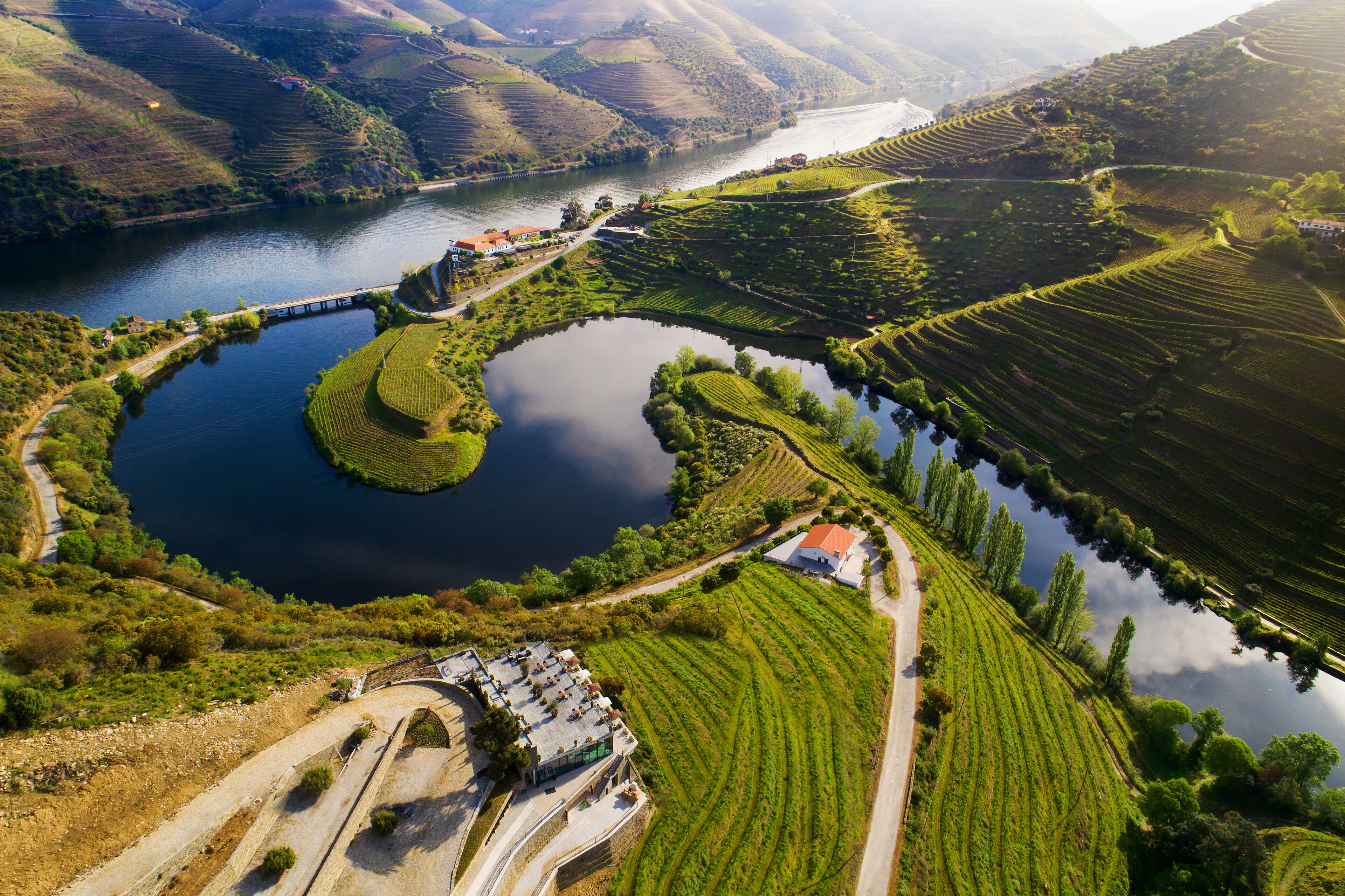 An aerial view of a vineyard with terraced fields, a lake, and a small building with a red roof.