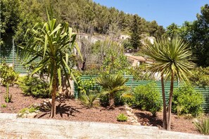 Stroll through lush gardens featuring a variety of plants and palm-like trees.