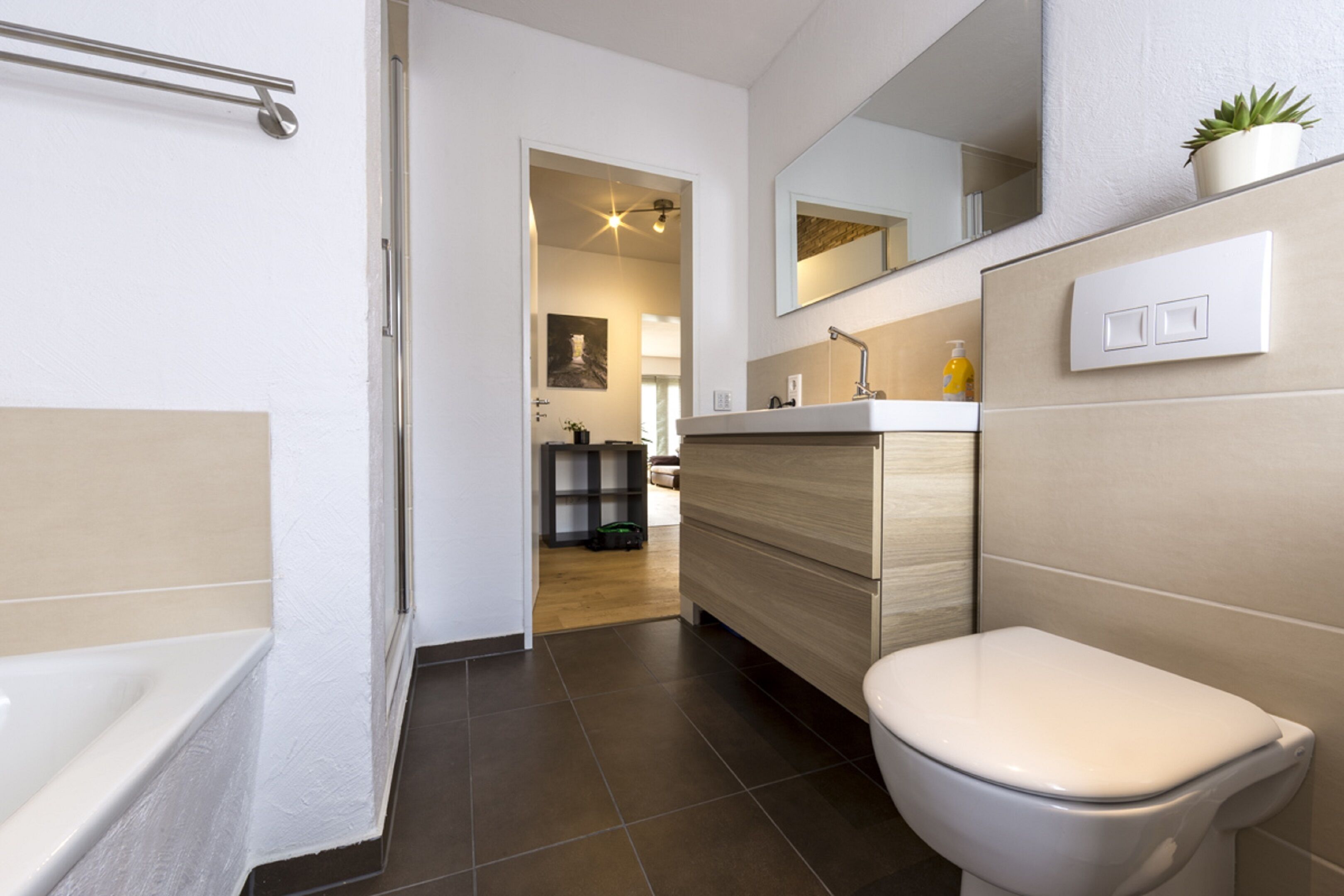 Apartment | Bathroom | Hydromassage showerhead