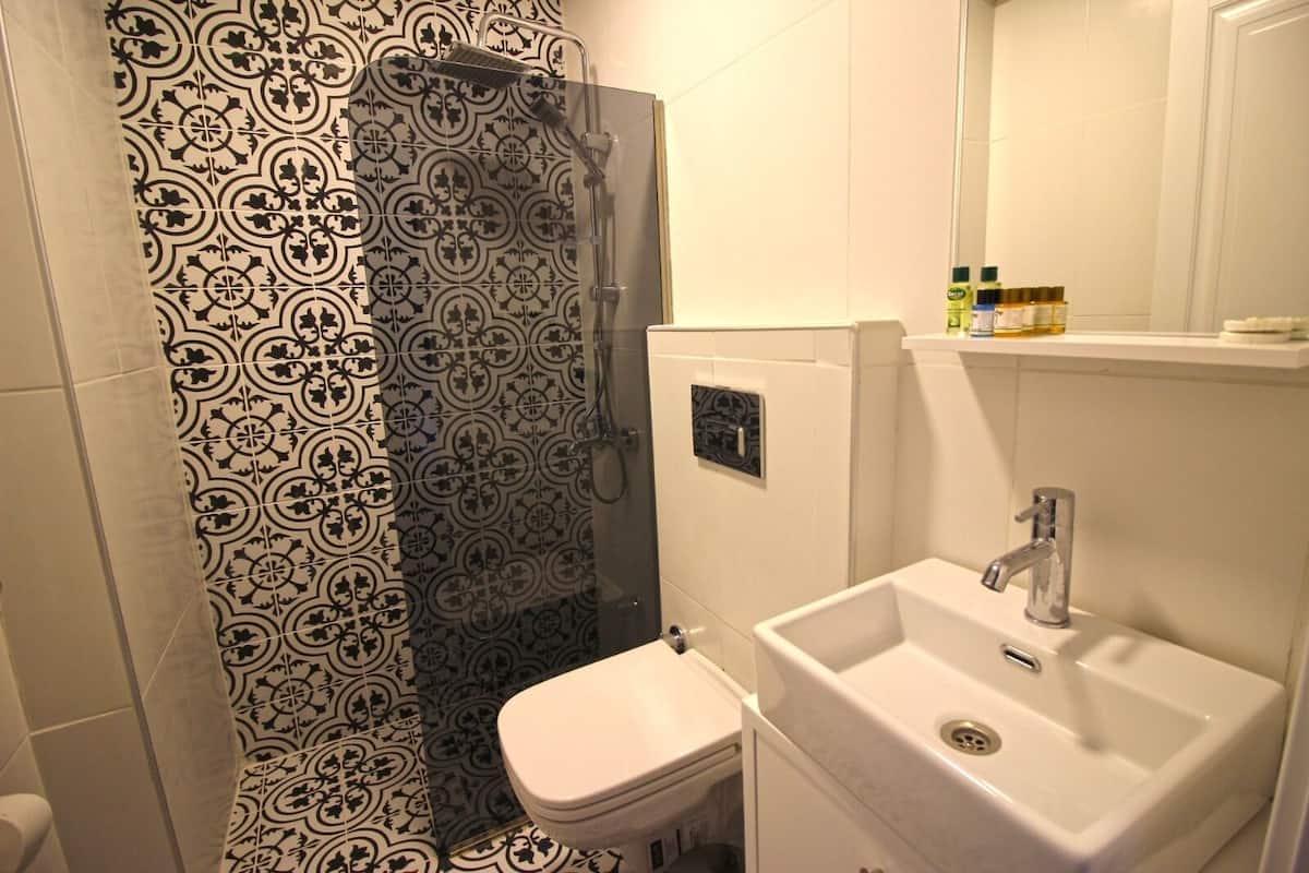 shower, hydromassage showerhead, hair dryer, towels