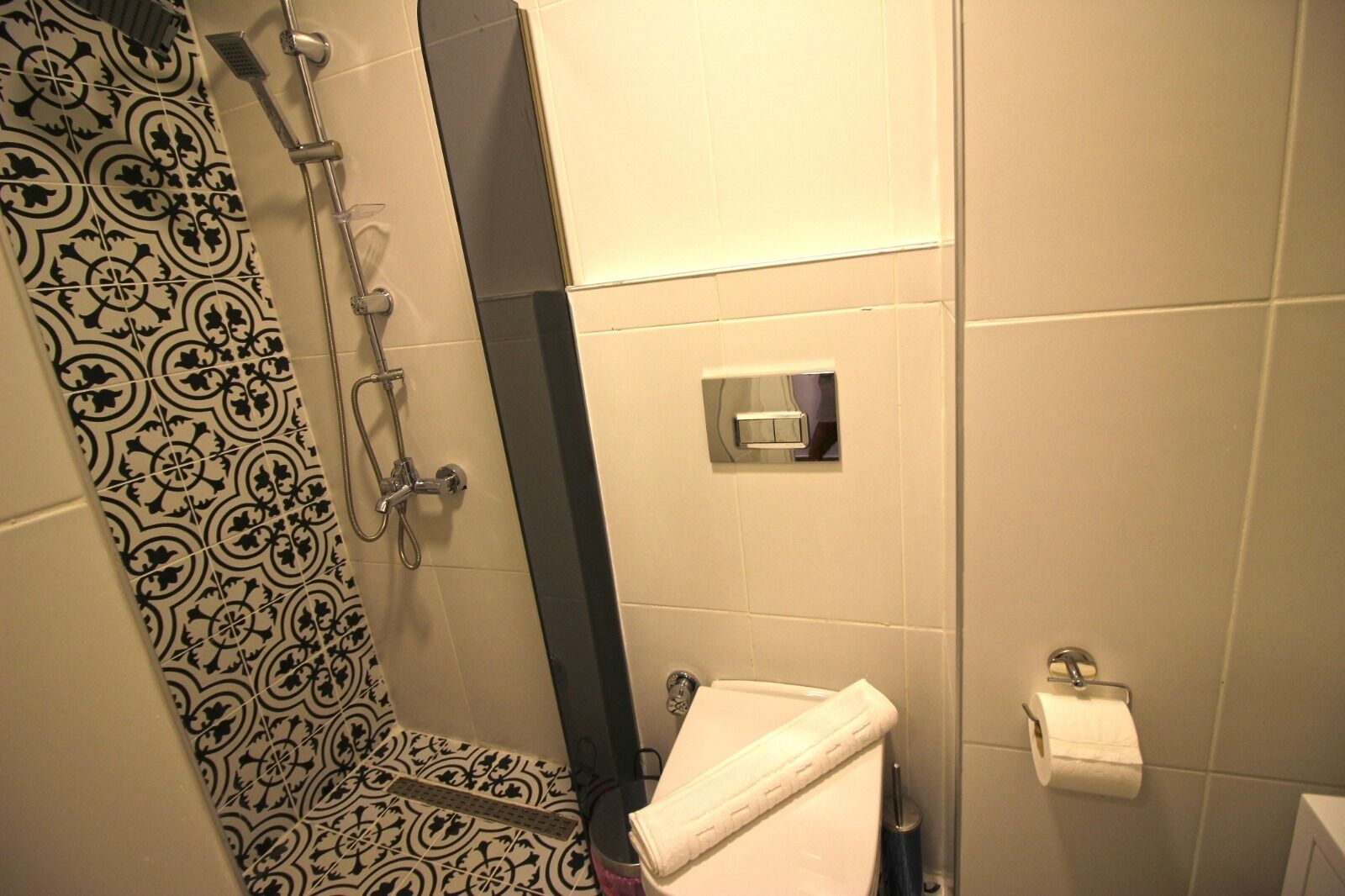 shower, hydromassage showerhead, hair dryer, towels