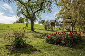 المنطقة المحيطة بالمنشأة