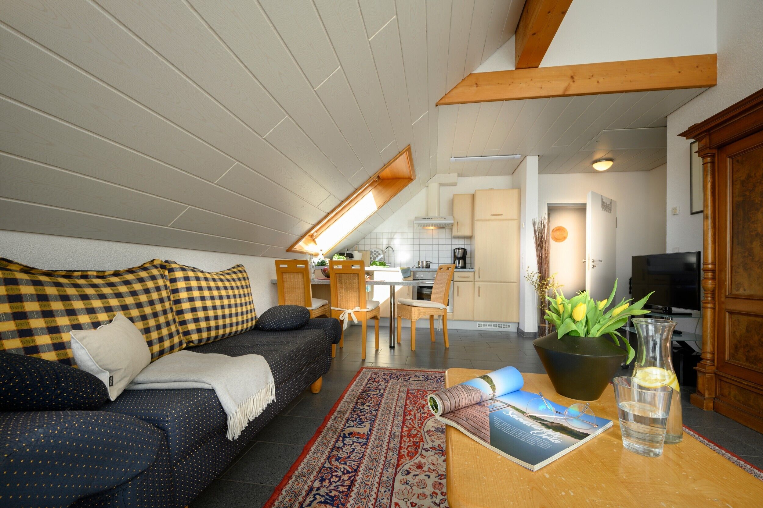 Televisión, reproductor de DVD, tenis de mesa y estéreo 