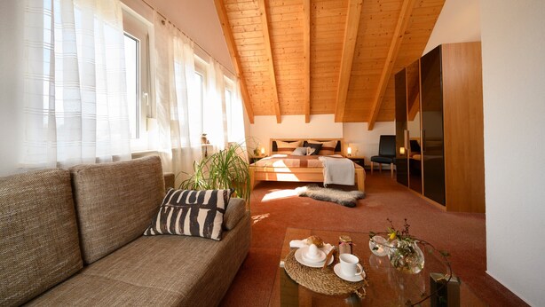 Um interior moderno com teto de madeira, um sofá, uma mesa de jantar com um vaso e uma cama com vista.