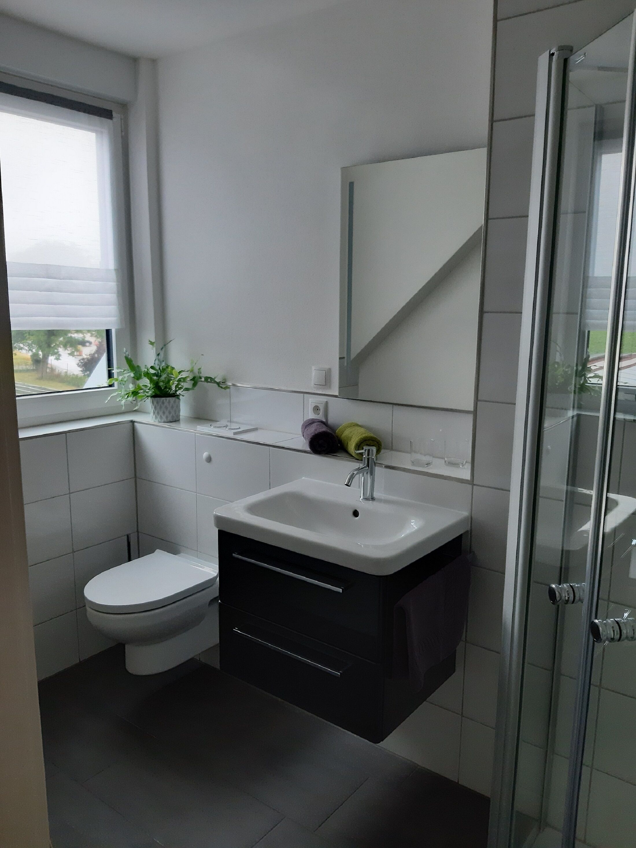 Ducha, secador de pelo, toallas, papel higiénico