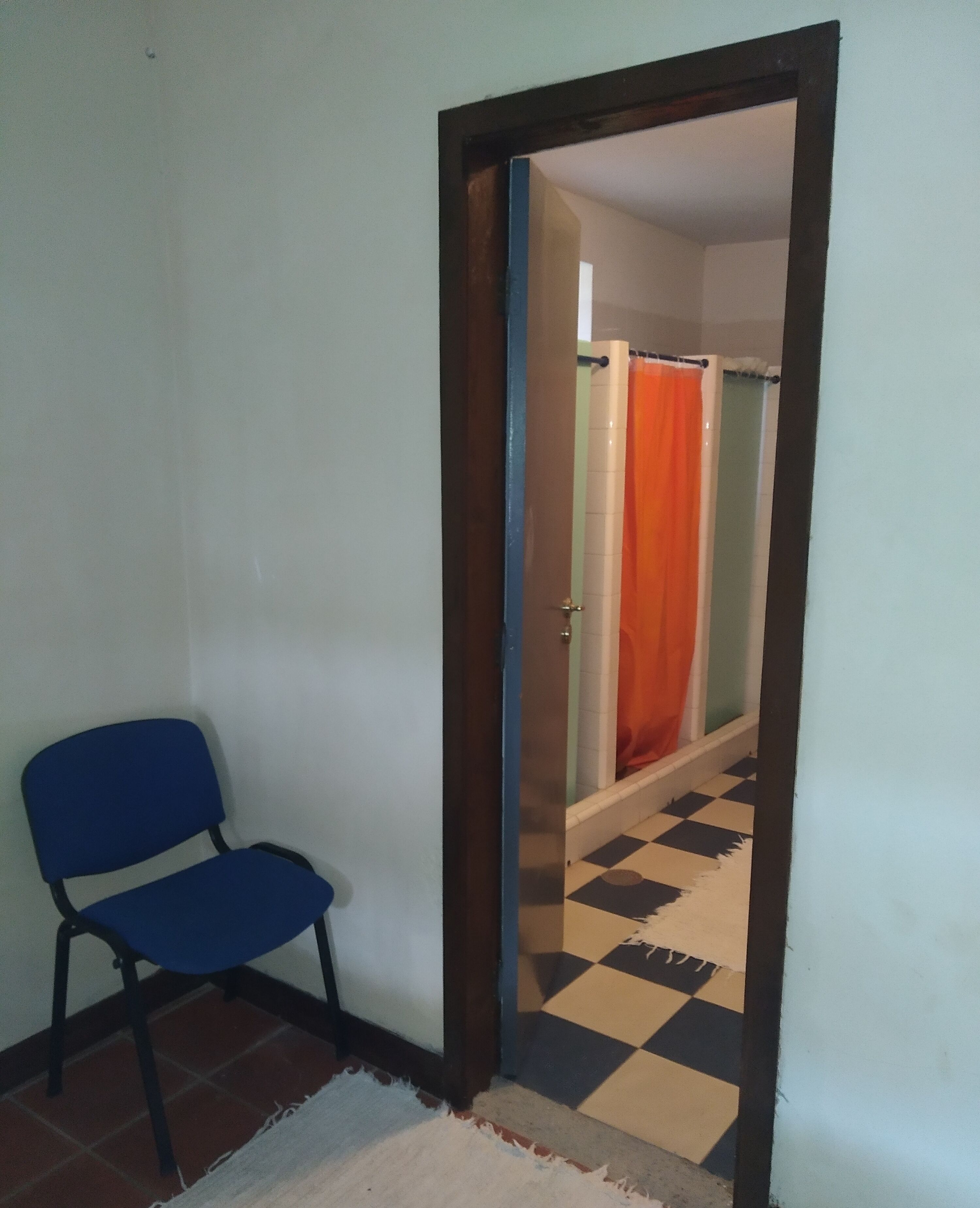 Een kamer met een blauwe stoel, een zwart-wit geruit vloerkleed en een deur naar een badkamer met douchegordijn.