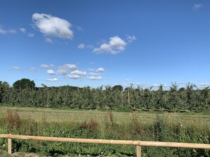 Casa de campo família, banheiro privativo (Blackberry) | Vista da propriedade