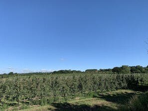 Casa de campo família, banheiro privativo (Blackberry) | Vista da propriedade