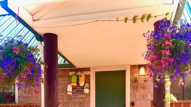 A wooden staircase leading to a green door, surrounded by a wooden fence and potted plants. - The Shell Shack-Darling and peaceful cottage (Pacific City)