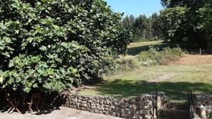A stone wall with a metal gate, a paved area, and a large tree in the background. - House in Galizano with garden (Cantabria)