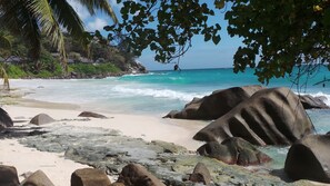 On the beach, sun-loungers