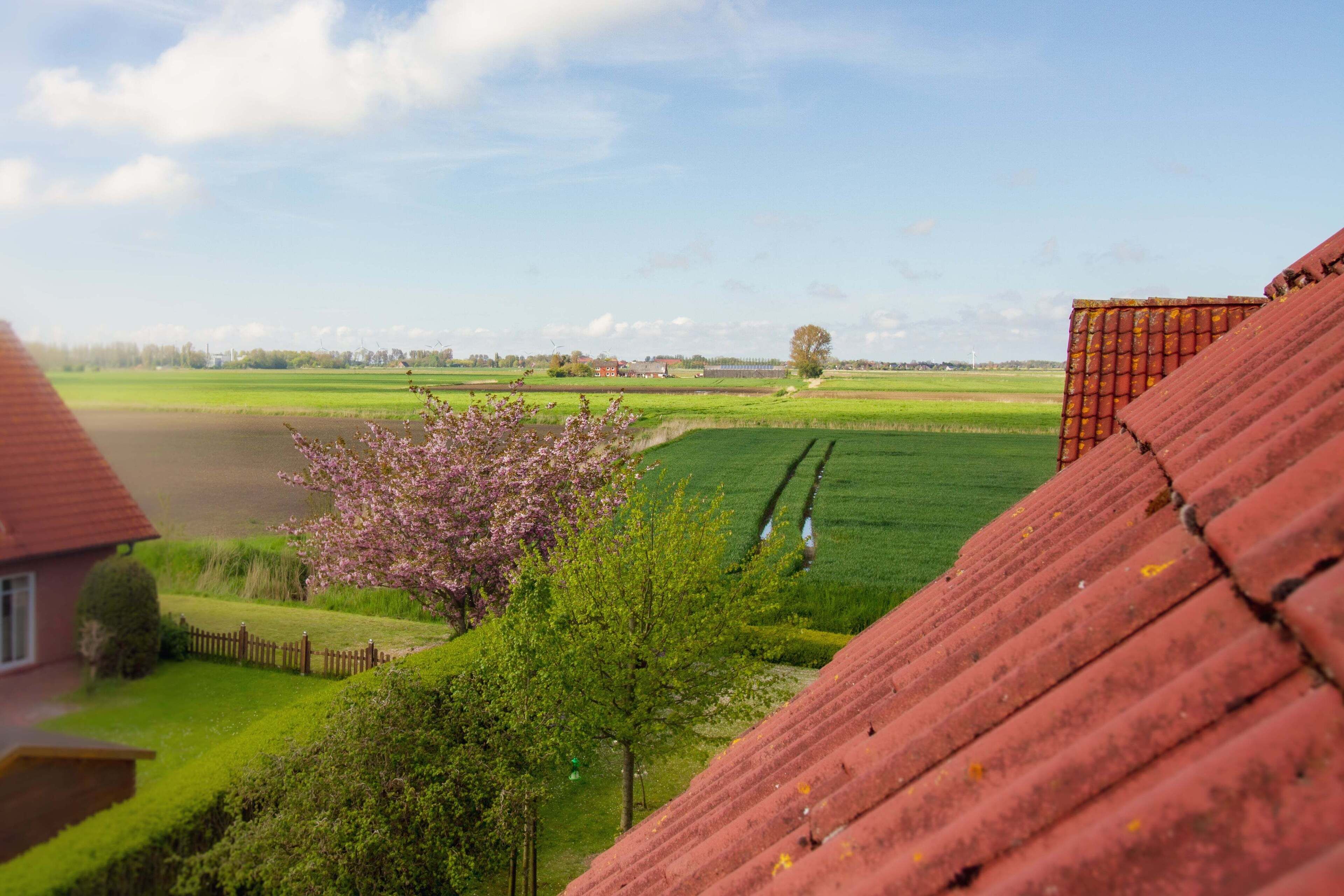 Àrea exterior de l'allotjament