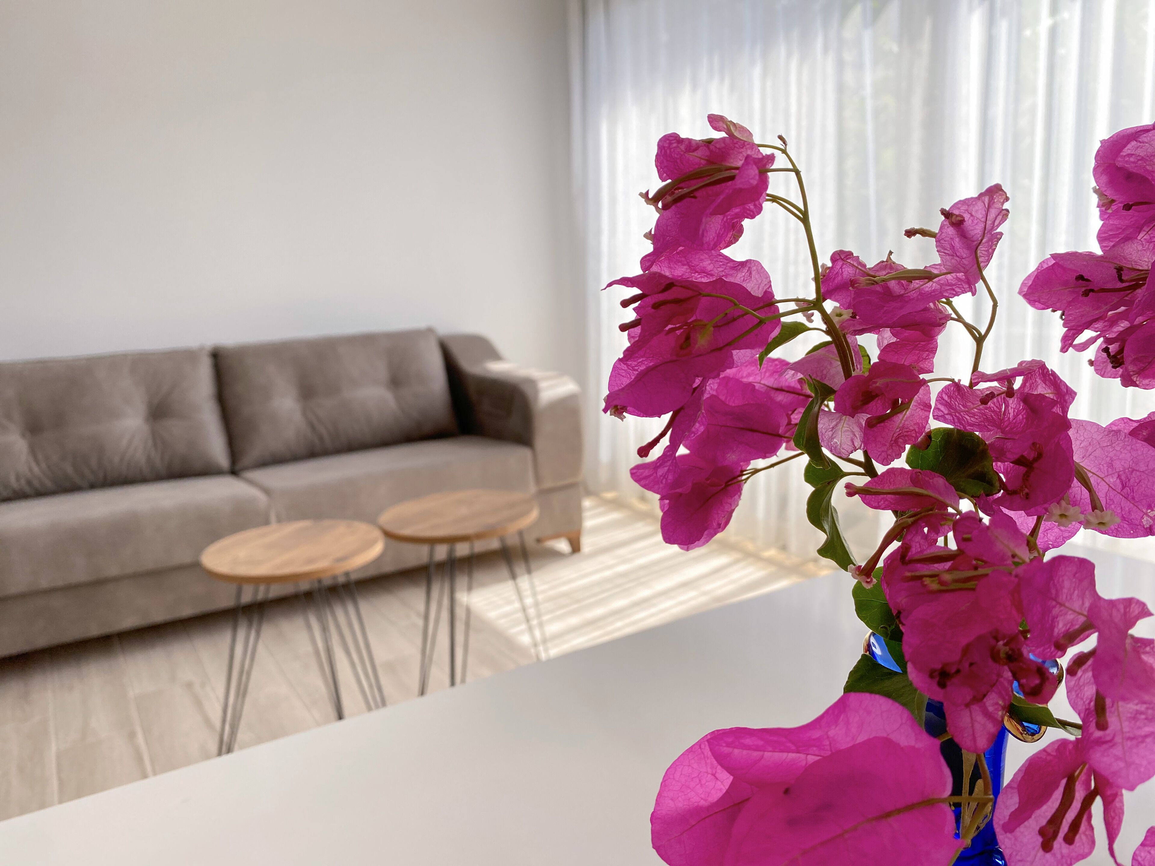 Uma sala de estar moderna com um sofá cinza, duas mesinhas de madeira redondas e um vaso com flores cor-de-rosa.