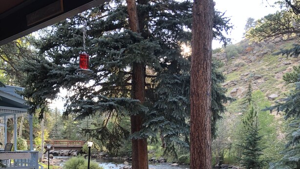 A wooden bench on a porch overlooking a river with trees and a bridge in the background. - Riverfront Mountain Cottage Retreat (Estes Park)
