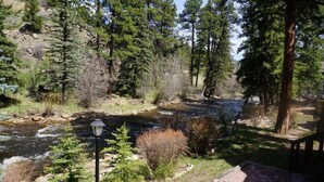 A natural outdoor setting with a river, trees, and a stone pathway. - Riverfront Mountain Cottage Retreat (Estes Park)