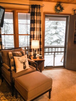 Smart TV, fireplace, books