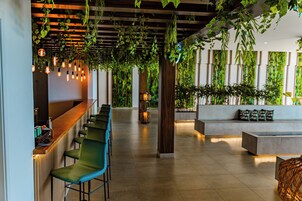 A modern interior with a bar area, seating, and green plants.