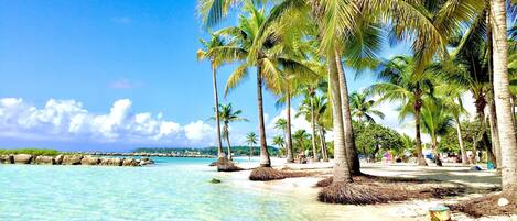 På stranden, liggestole, badehåndklæder