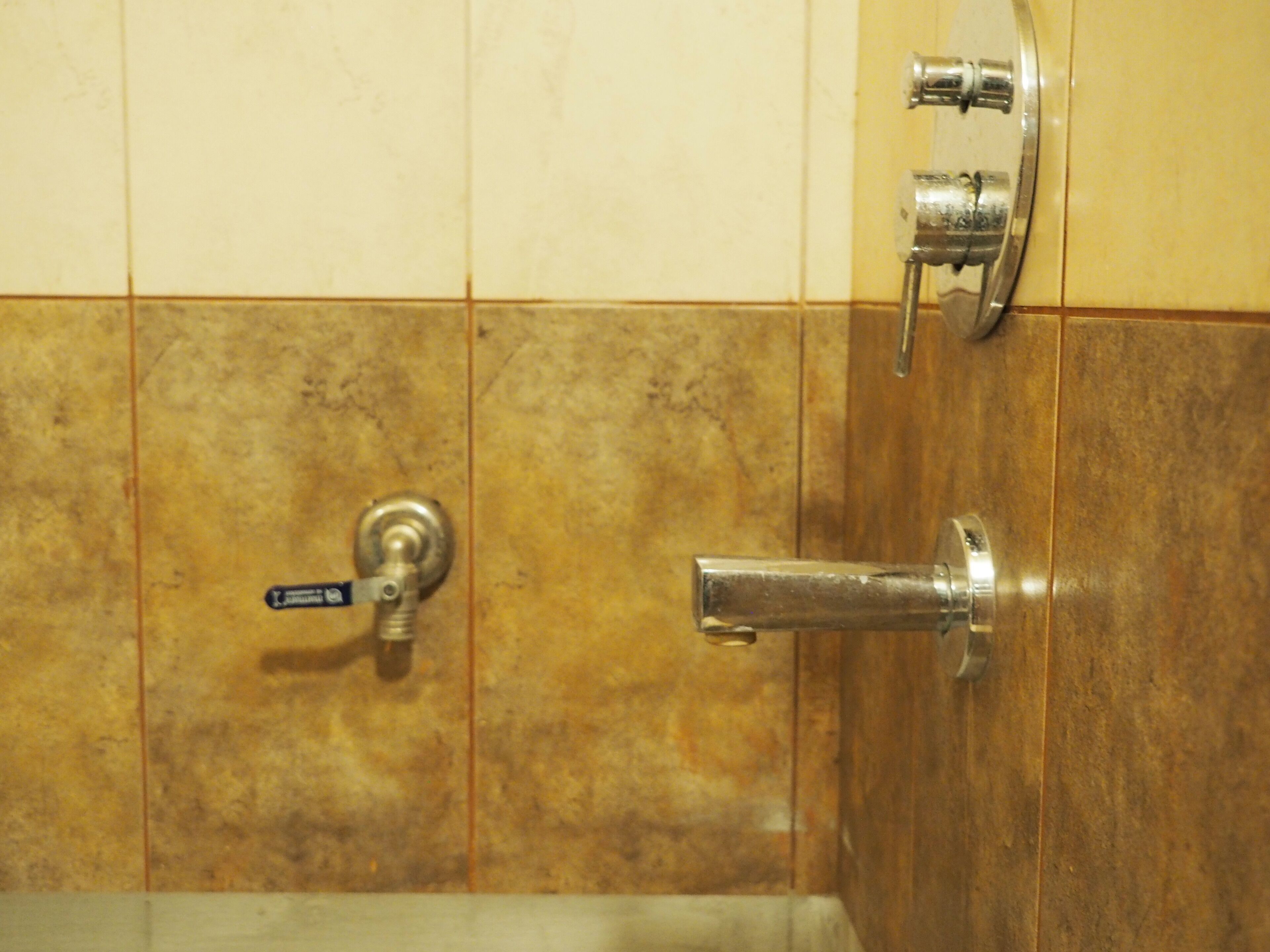 A bathroom with a tiled wall, a showerhead, and a faucet.