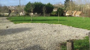 Un paisaje rural con un camino de grava, hierba verde y árboles dispersos.