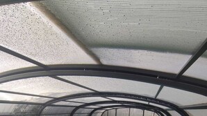 Una piscina interior con techo de vidrio y césped artificial alrededor.