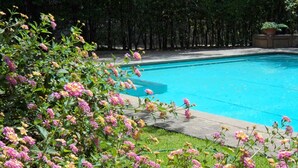 Piscina rodeada por vegetação exuberante e plantas floridas.