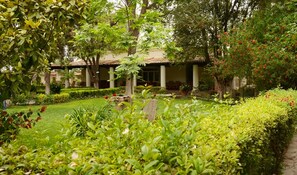 Jardín