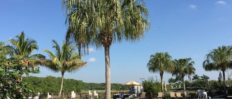 حمّام سباحة خارجي، حمّام سباحة مُدفَّأ