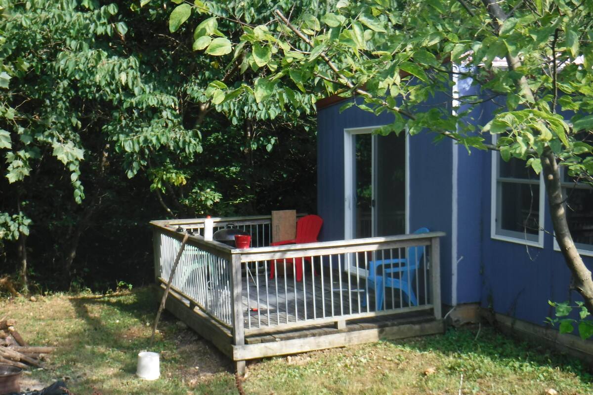 Un pequeño edificio azul con terraza de madera, rodeado de árboles.