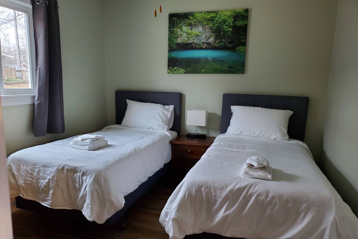 Habitación de hotel con dos camas individuales, una mesita de noche con lámpara, un cuadro de un bosque y una ventana con cortinas.