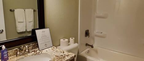 Une salle de bain avec un lavabo, un miroir et un espace douche.