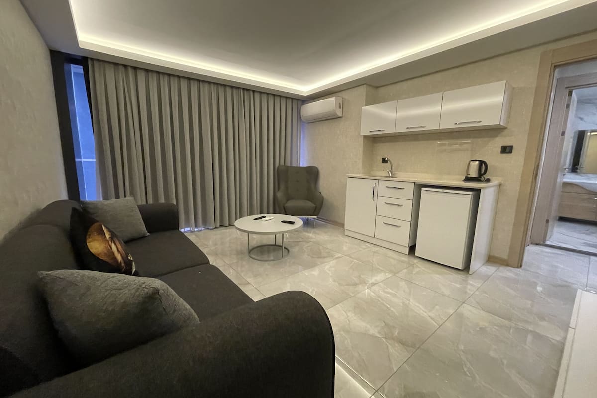 junior apartment | living area | fireplace, heated floors