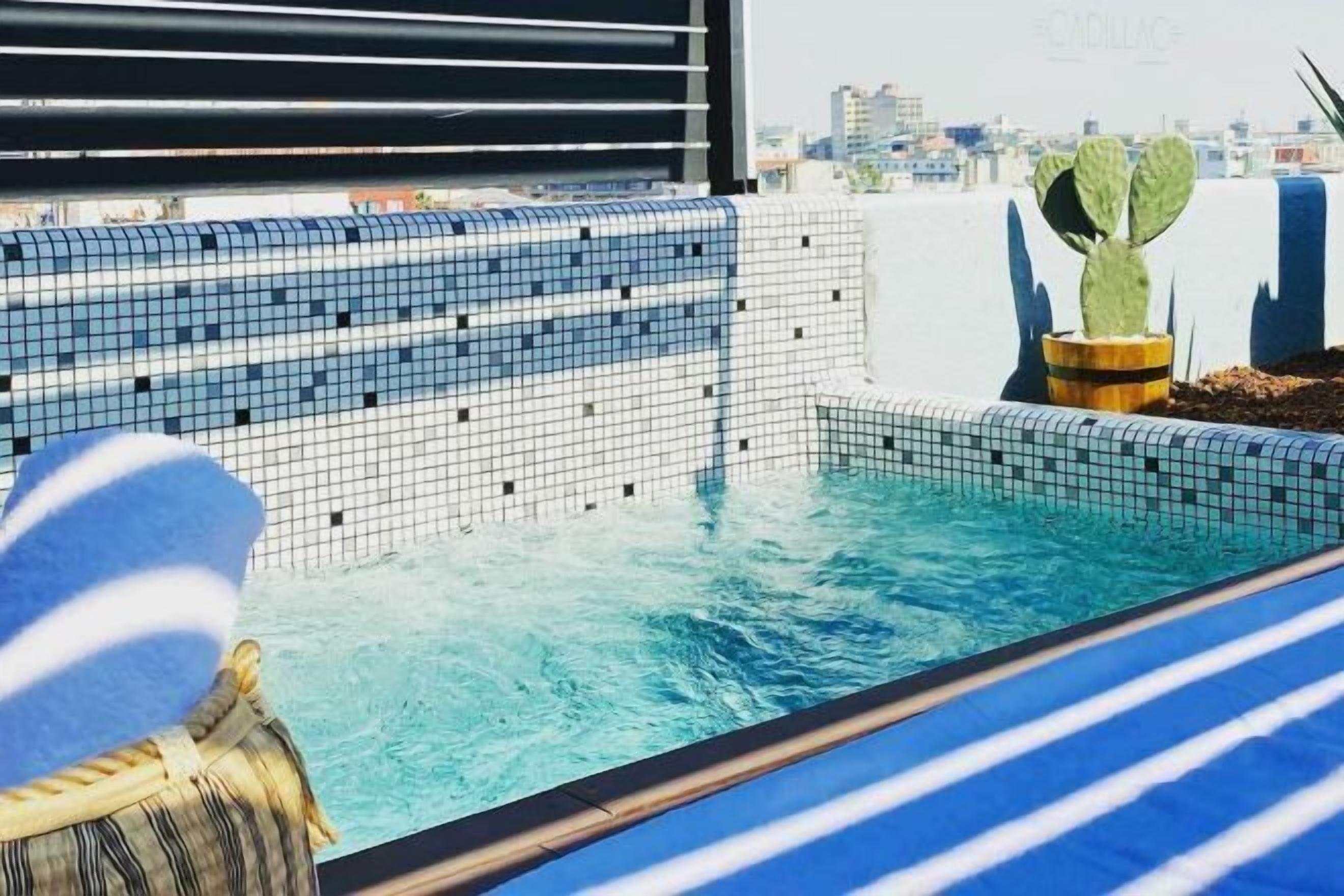 A rooftop pool with a tiled edge, a cactus plant, and a view of the cityscape.