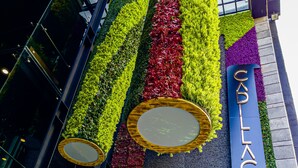 A hotel entrance with a vertical garden design, a sign reading "CADLA HOTEL", and a modern building facade. - Cadillac Hotel Boutique (Mexico City)