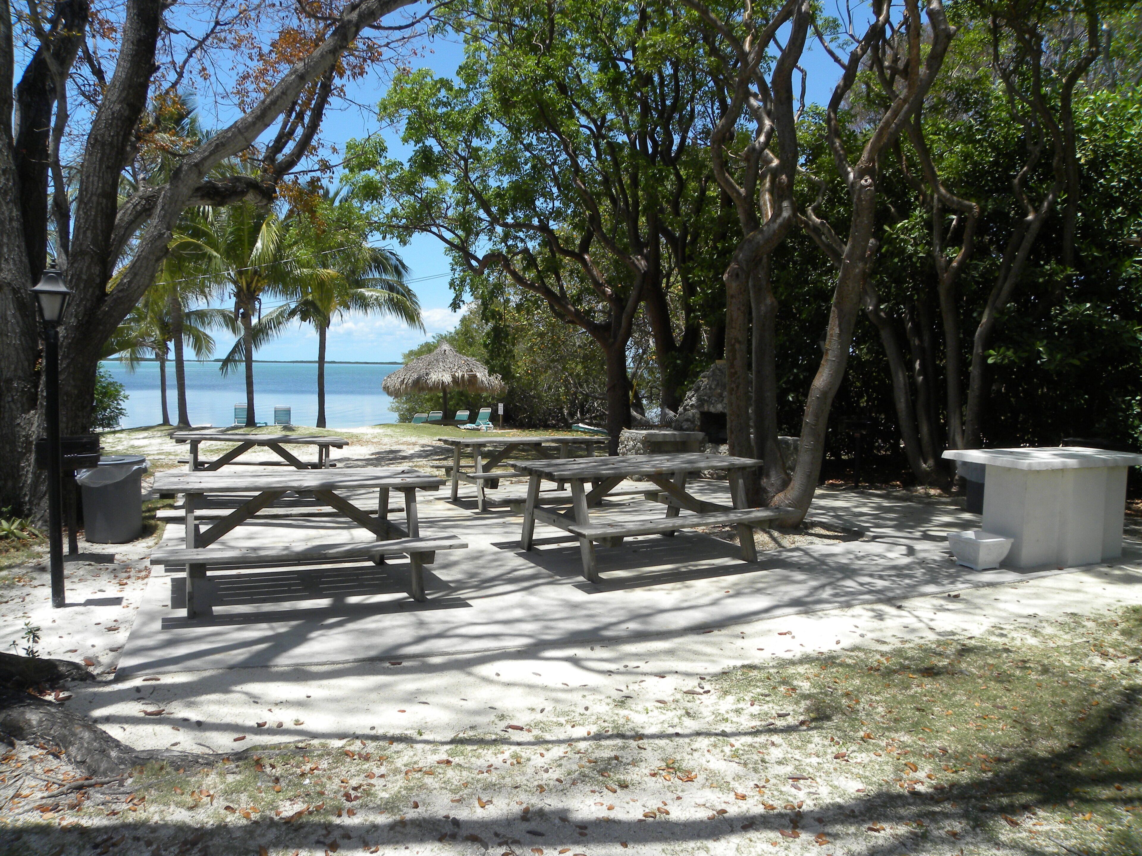 A beachside picnic area with tables and benches, a thatched-roof structure, and a view of the ocean.