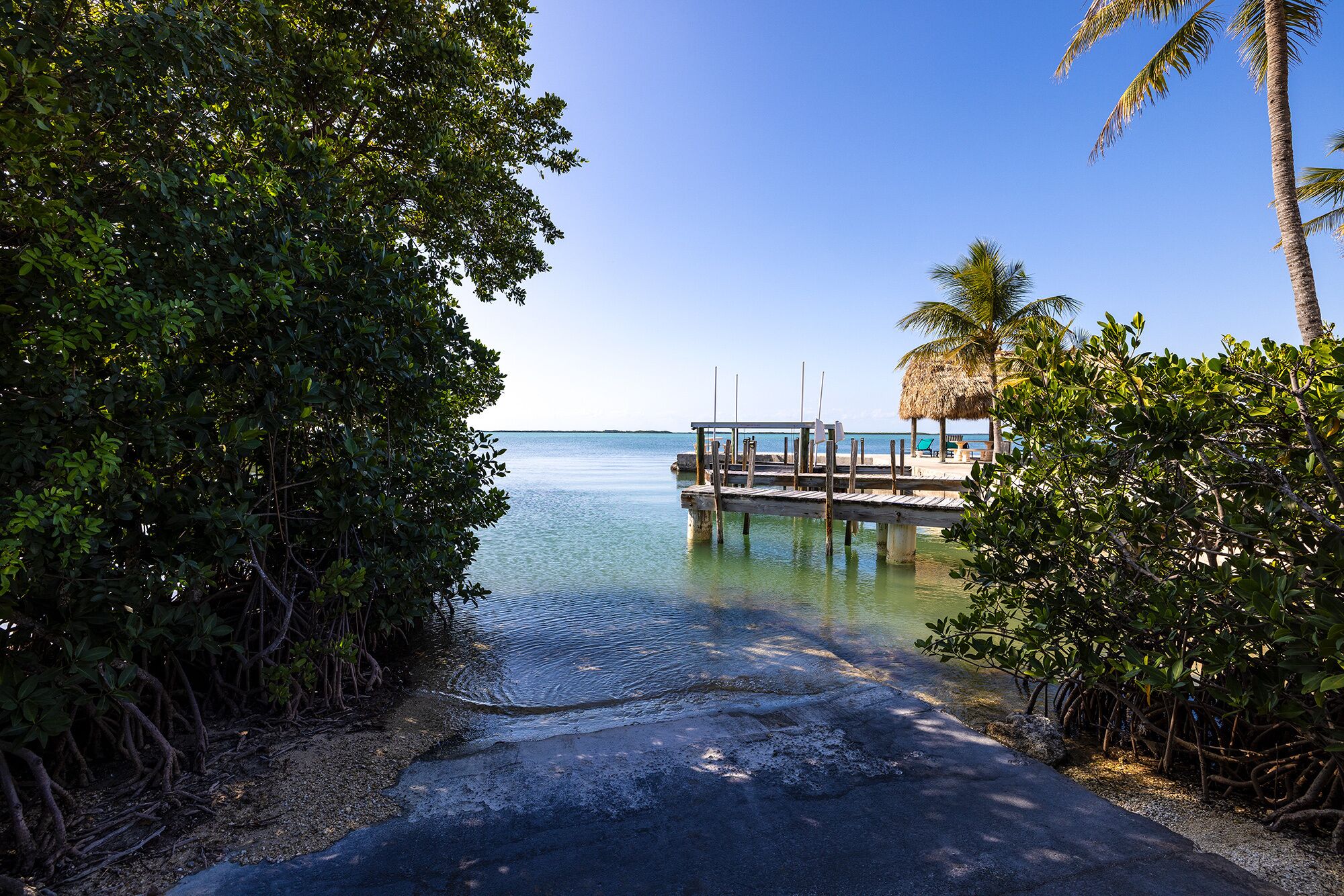 Une plage avec une jetée en bois s’avançant dans des eaux calmes, entourée d’une végétation dense de mangroves.