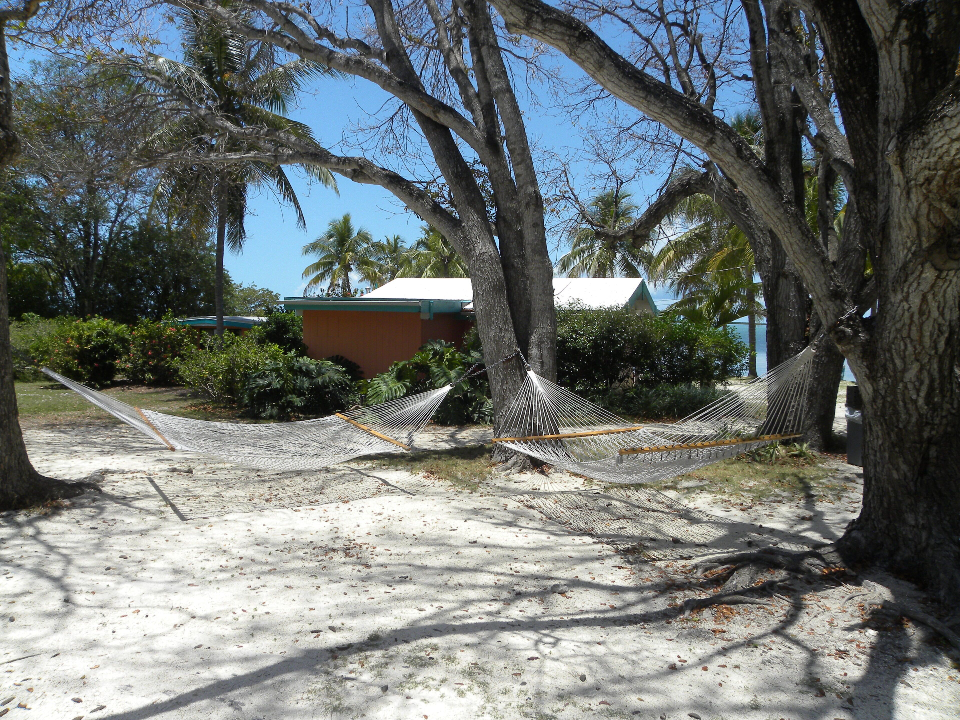 Un hamac tendu entre deux arbres, une zone sablonneuse et un bâtiment doté d’un toit végétalisé.
