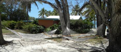 A hammock between trees, a sandy area, and a building with a green roof.