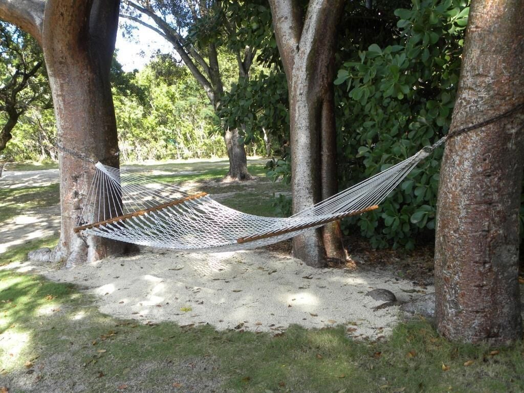 Una hamaca atada entre árboles en un parque.