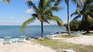 A beach with palm trees, lounge chairs, and a view of the ocean. - Rock Reef Resort (Key Largo)
