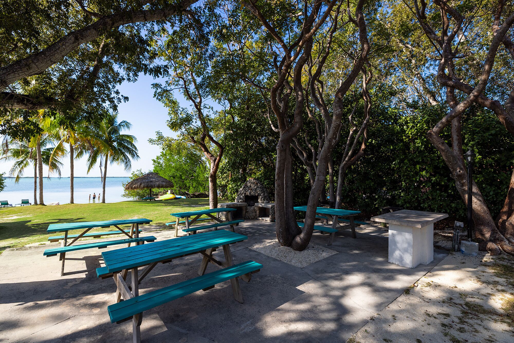 A beachside picnic area with wooden benches and a concrete table, surrounded by trees and overlooking the sea.