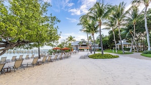 Un complexe hôtelier en bord de mer, avec des rangées de chaises longues, un kiosque et des palmiers.