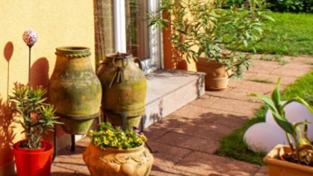 Un edificio con fachada amarilla, puerta de cristal y un área de entrada pavimentada con plantas en macetas.