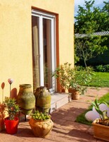 A building with a yellow exterior, a glass door, and a paved entrance area with potted plants.