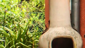 Un horno de cerámica grande sobre un soporte metálico, una planta en maceta y un muro de ladrillo.