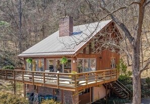 Exterior - Stylish, secluded cabin minutes from the Biltmore and downtown (Asheville)